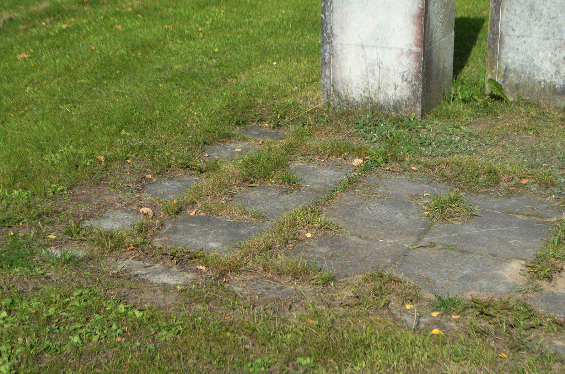 Rohtu kasvanud kiviplaadid monumendi Leinav Ema esisel platsil Väätsal, Järvamaal.